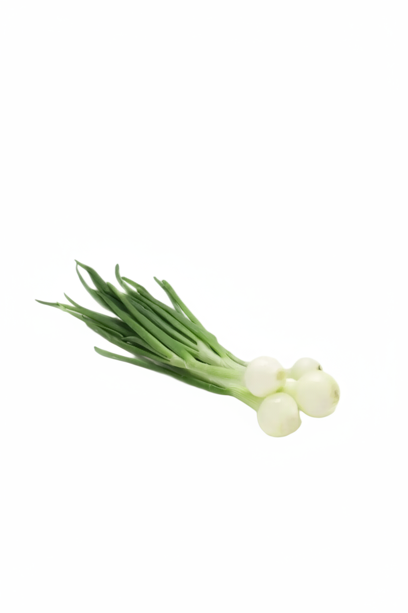 Oignons frais