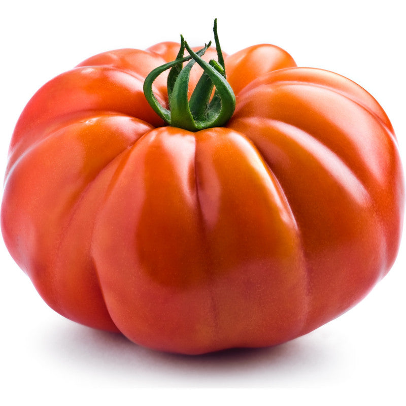 Tomates fraîches au Kg