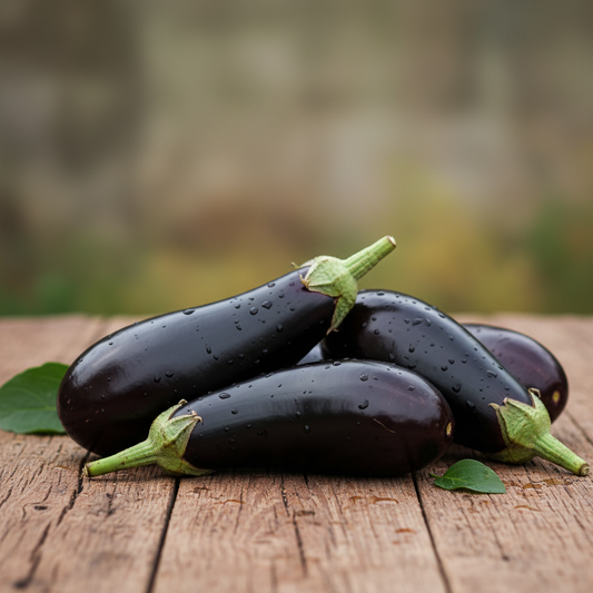 Tropic Island Aubergine Violet au Kg