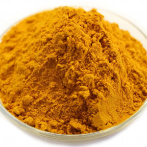 Poudre de Curcuma biologique