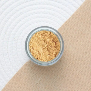 Actibio Gingembre poudre bio vrac 50 g